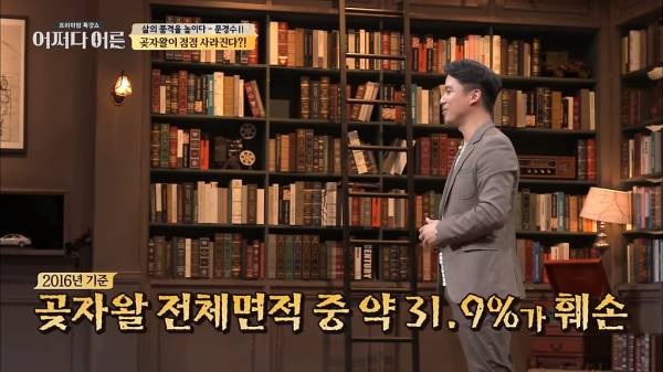 비밀이 밝혀진 것이 오히려 비극이 된 숲.jpg