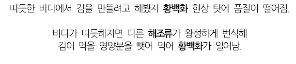 웃대] 김 값이 점점 비싸지는 이유.jpg