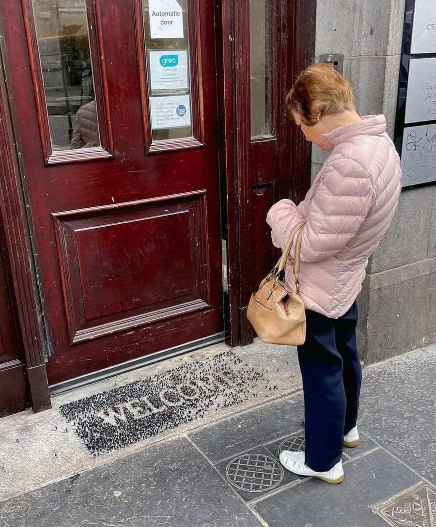 지나가는 사람마다 구경한다는 현관 매트.jpg