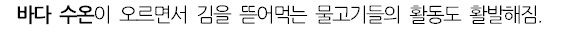 웃대] 김 값이 점점 비싸지는 이유.jpg