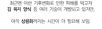 웃대] 김 값이 점점 비싸지는 이유.jpg