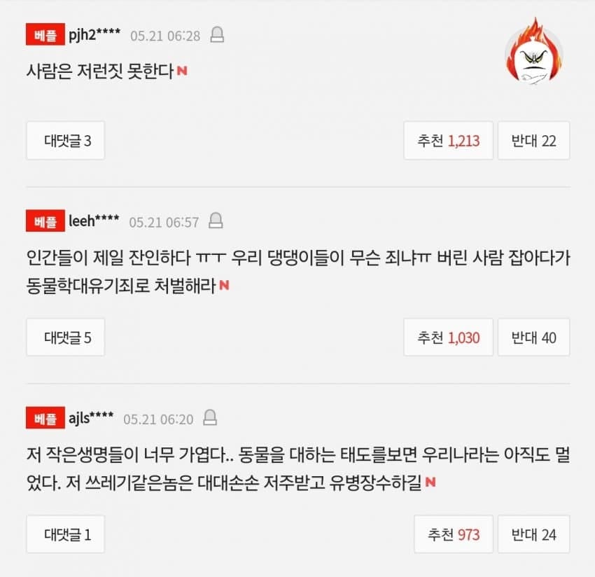 보배+news] 쓰레기봉투 속에 버려진 눈도 못 뜬 강아지 7마리.j