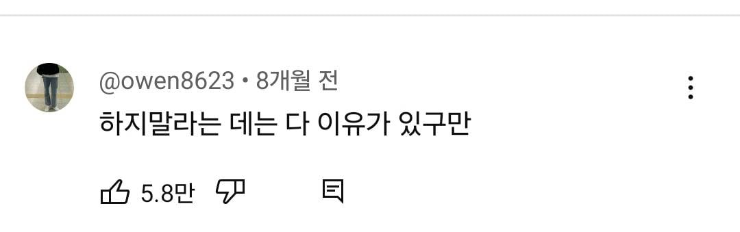 뚱뚱하면 입지 말라는 옷 다 입어본 남자 뷰티유튜버.jpg