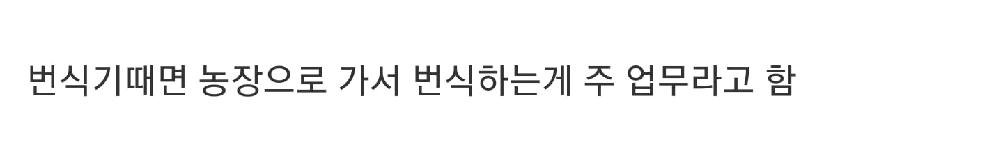 암소들만 있는 농장에 도착한 씨수소.mp4