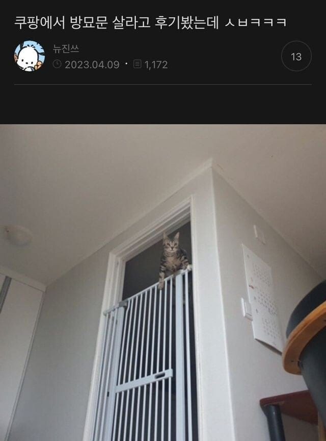 쿠팡 방묘문 후기