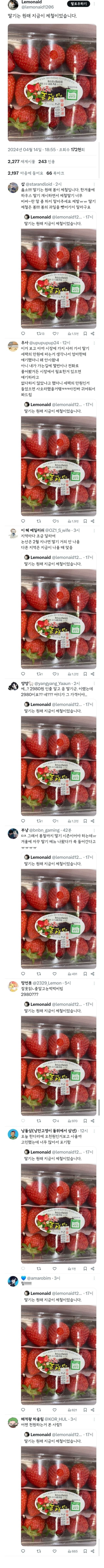 원래는 지금이 제철이라는 과일