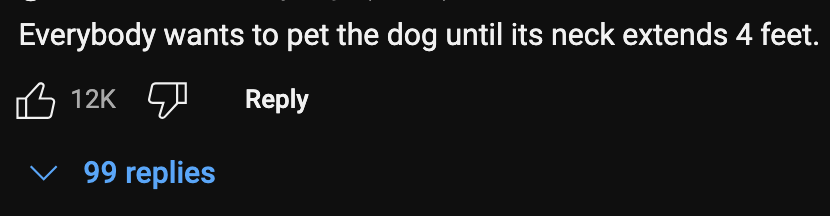 보스턴 다이나믹스 로봇🤖개🐶, 털복숭이 됐다