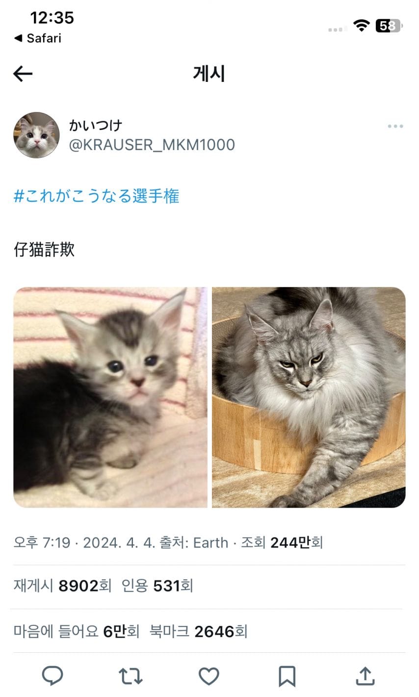 어릴 때랑 너무 달라진 녀석