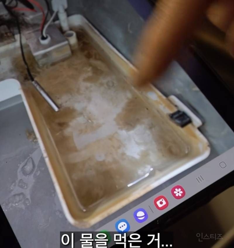 제빙기 관리자가 아아 안마시는 충격적인 이유(사진주의)