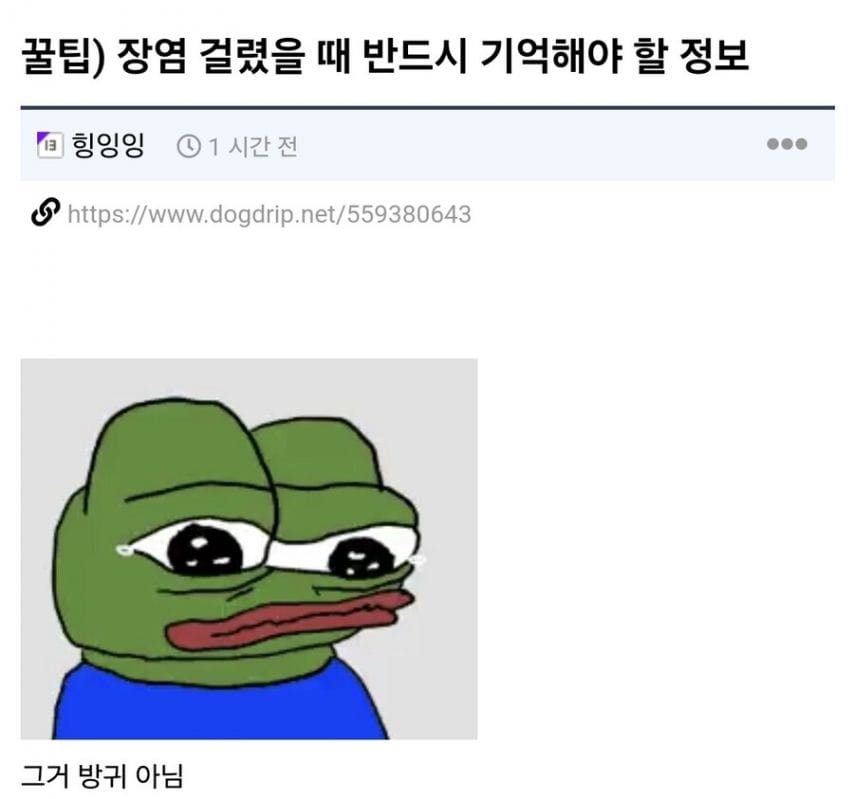 장염 걸렸을때 반드시 기억해야할 꿀팁.jpg