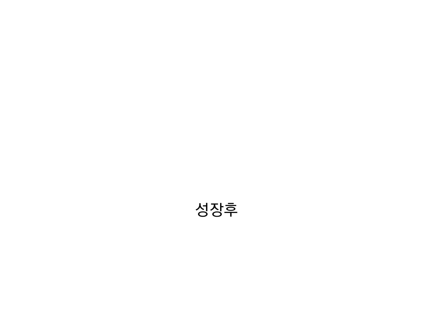호주에서 발에 채일정도록 흔하게 보이는 개구리.mp4
