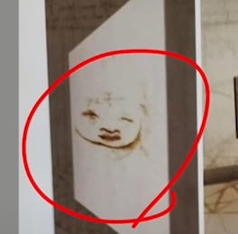 너무 이상하게 그려서 의문이었던 다빈치의 그림
