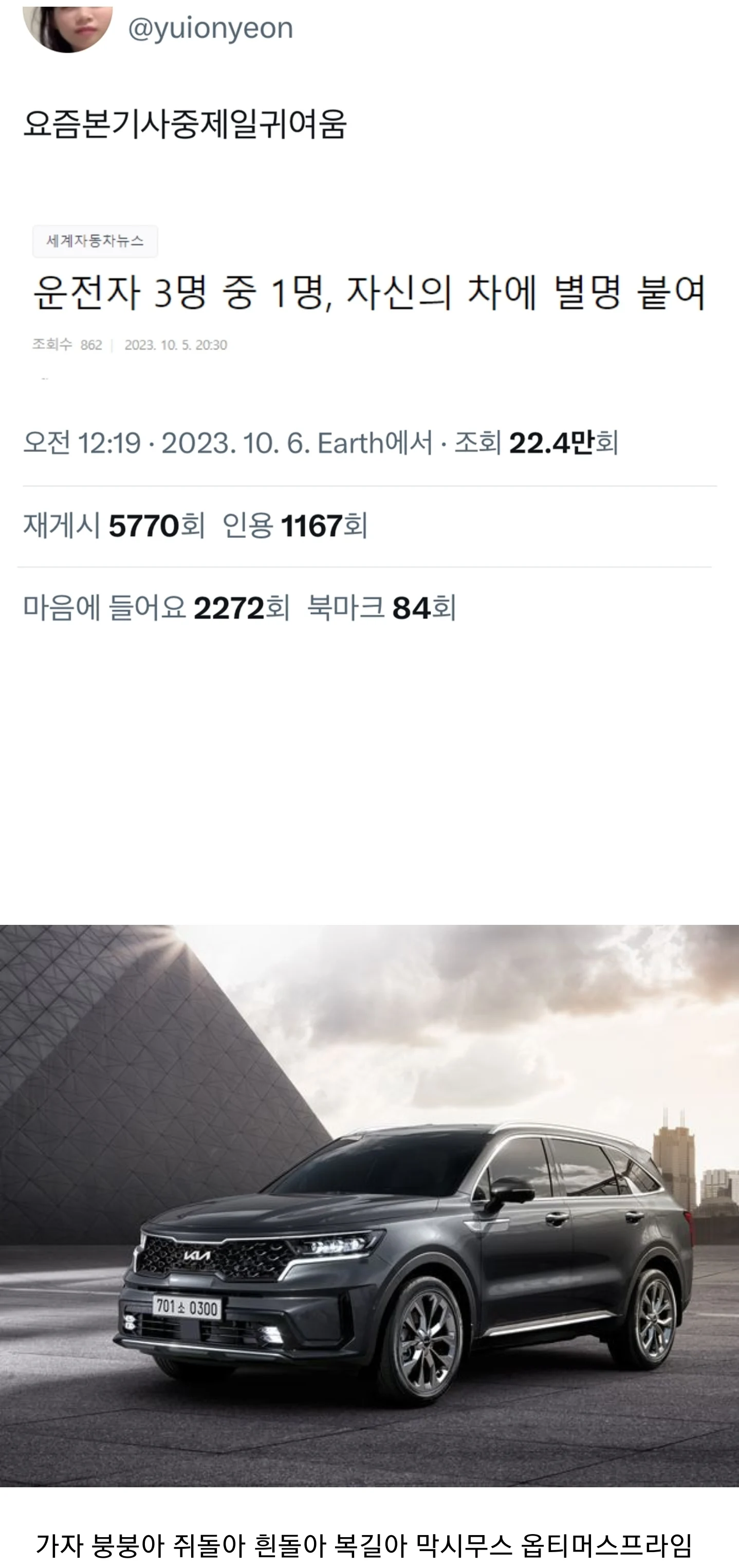요즘 본 기사 중 제일 귀여움