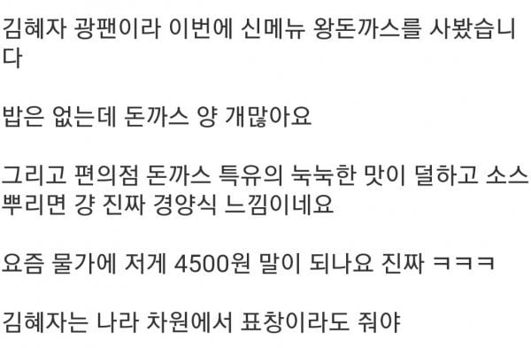 4,500원 김혜자 돈까스 도시락 실물 후기.jpg