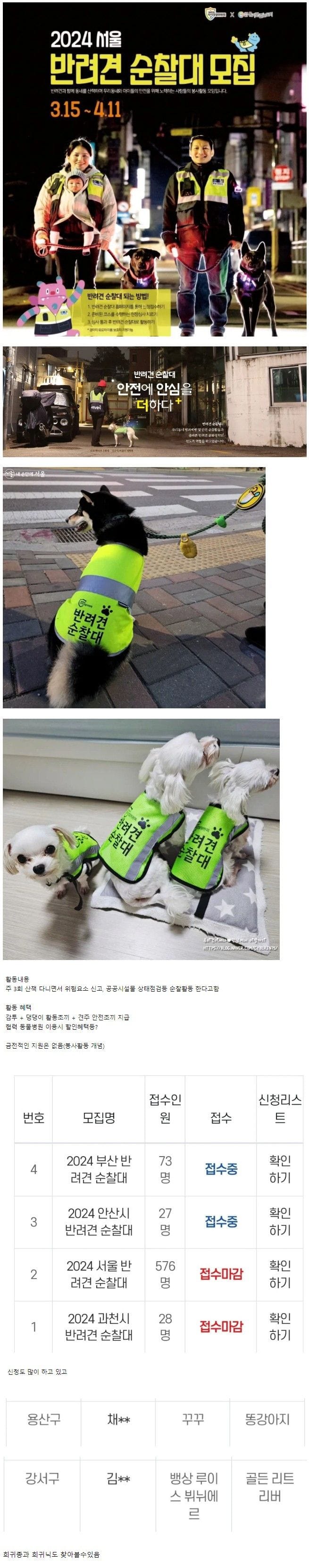 은근 많은 견주들이 신청하는 반려견 순찰대