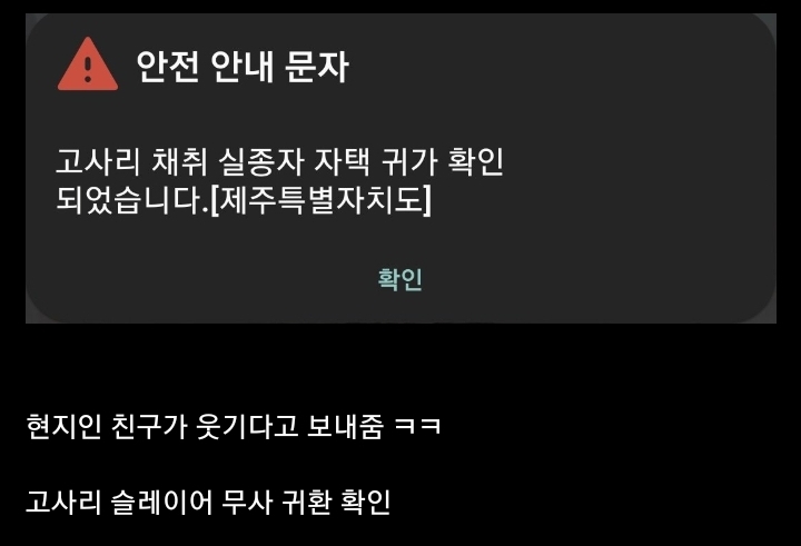 현 시각 감귤국 재난문자 진짜 근황
