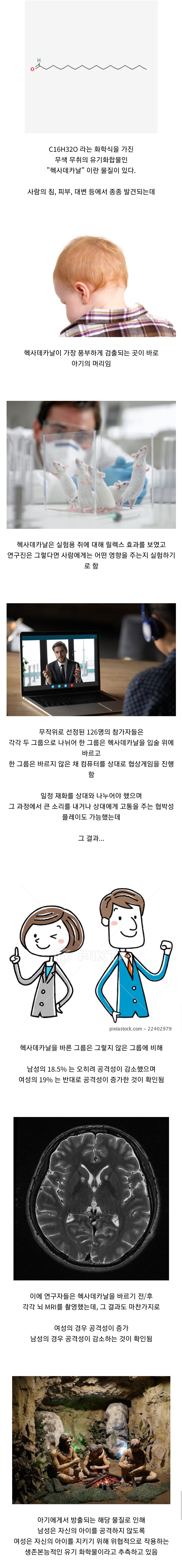 헥사데카날이란 물질의 효과.jpg