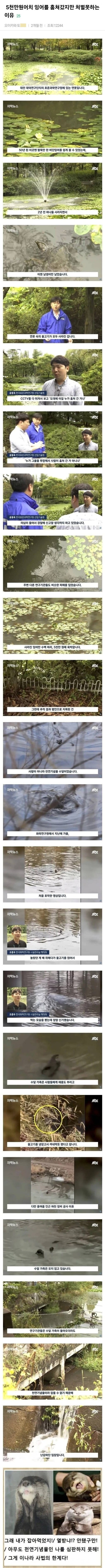 인티] 잉어 5천만원치 훔쳤는데 법적으로 아무것도 못함.jpg