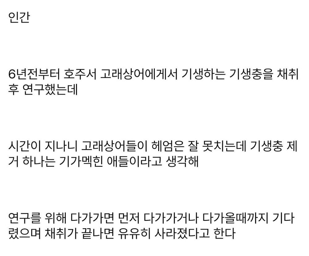의외로 인간이랑 공생관계를 유지하는 생물
