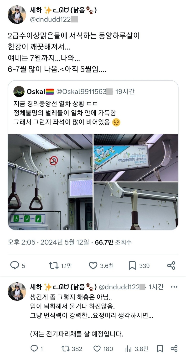 한강이 깨끗해져서 서울 지하철에 출몰중인 벌레.jpg