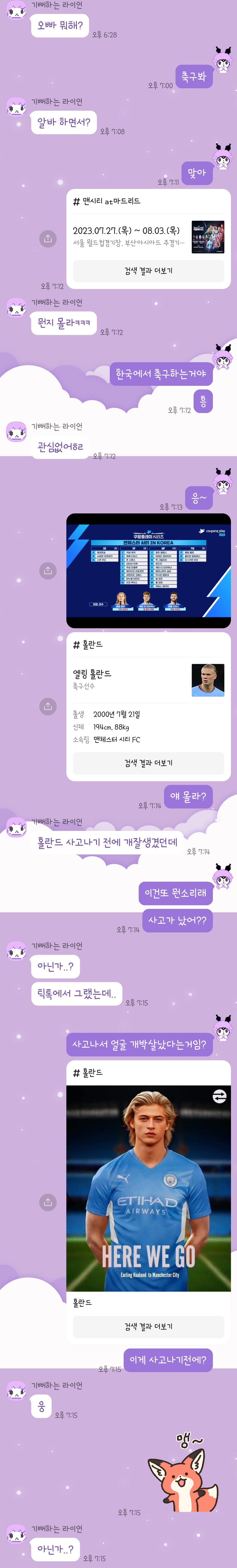 홀란드 사고 났다는데?.jpg