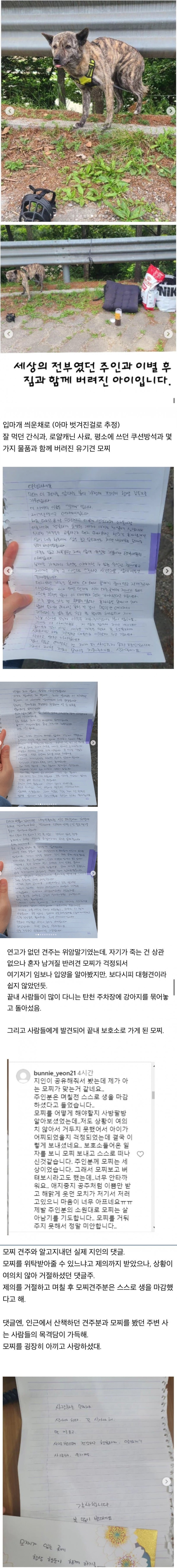탄천 공영주차장에 버려진 개