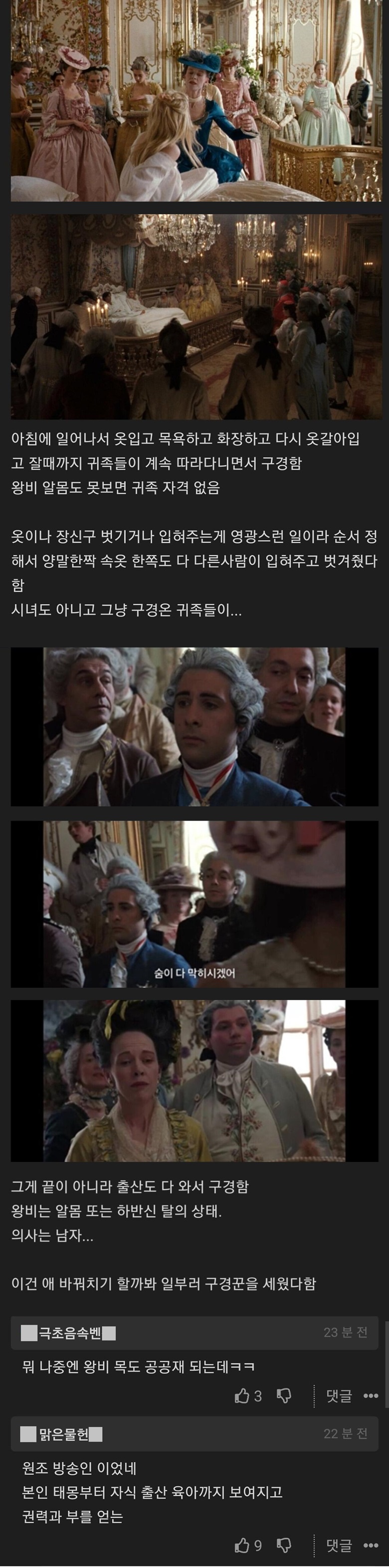공공재로 취급된 프랑스 왕비의 삶.jpg