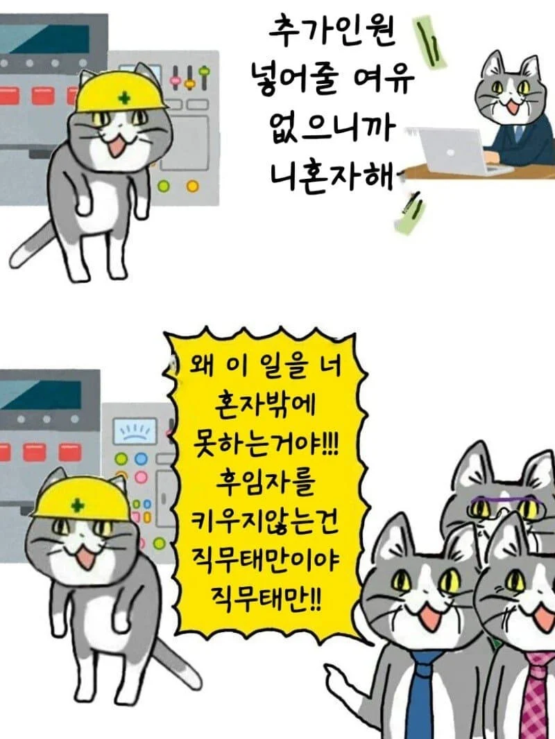 ㅈ소 고양이