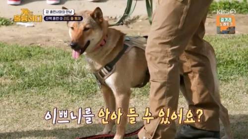 헬스트레이너 강형욱.jpg