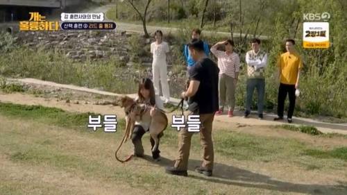 헬스트레이너 강형욱.jpg