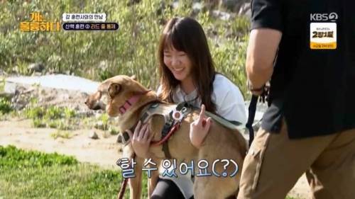 헬스트레이너 강형욱.jpg