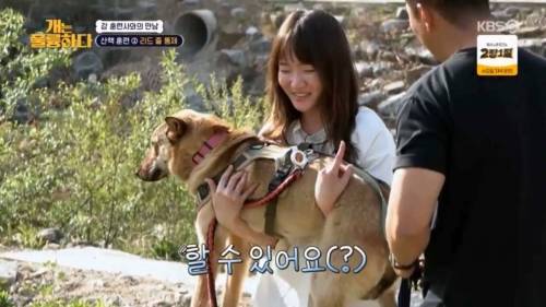 헬스트레이너 강형욱.jpg