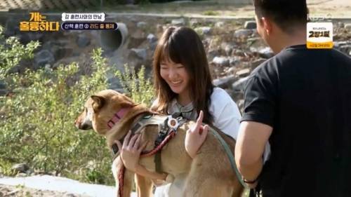 헬스트레이너 강형욱.jpg