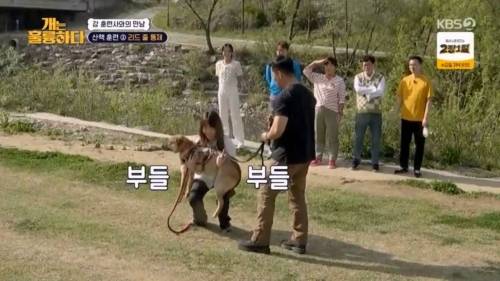 헬스트레이너 강형욱.jpg
