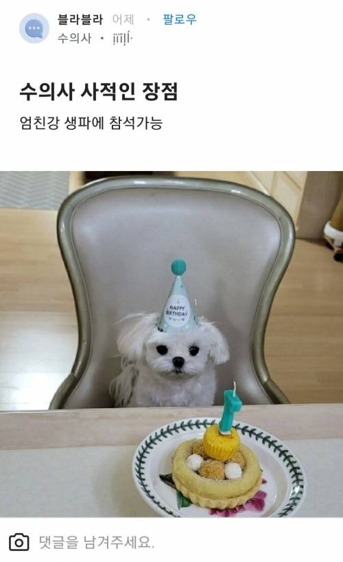 수의사 사적인 장점
