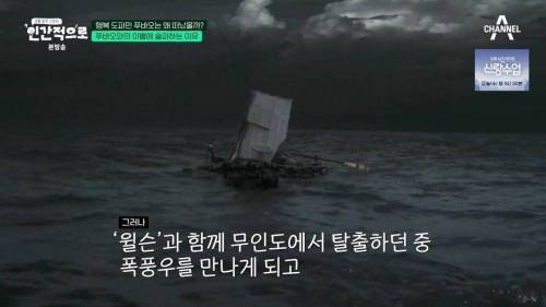 이동진, 푸바오에 감정이입 하는 사람들을 함부로 폄하하면안된다1