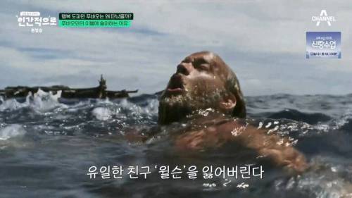 이동진, 푸바오에 감정이입 하는 사람들을 함부로 폄하하면안된다1