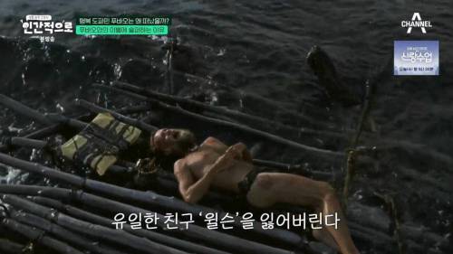 이동진, 푸바오에 감정이입 하는 사람들을 함부로 폄하하면안된다1