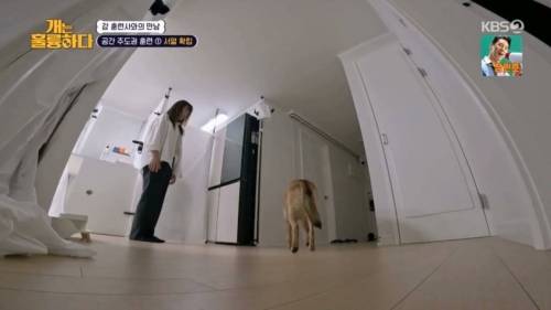헬스트레이너 강형욱.jpg