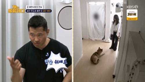 헬스트레이너 강형욱.jpg
