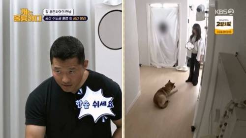 헬스트레이너 강형욱.jpg