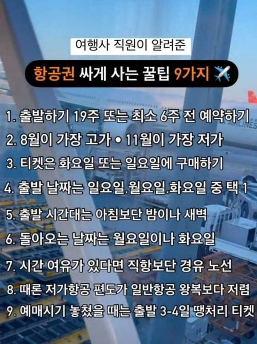 여행사 직원이 알려준 항공권 싸게 사는 꿀팁 9가지.jpg