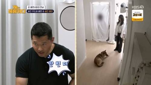 헬스트레이너 강형욱.jpg