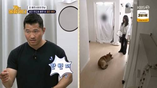 헬스트레이너 강형욱.jpg