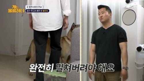 헬스트레이너 강형욱.jpg