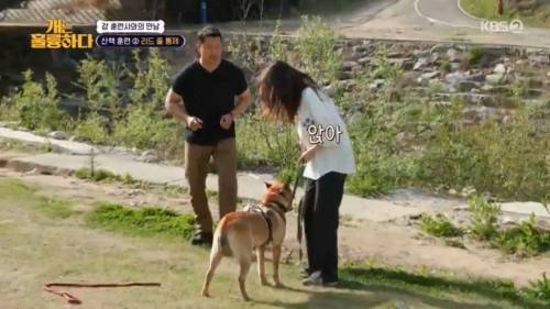 헬스트레이너 강형욱.jpg