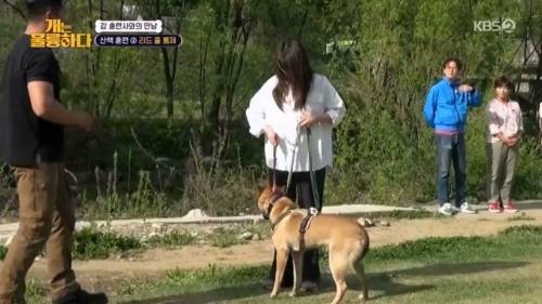헬스트레이너 강형욱.jpg