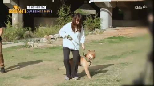 헬스트레이너 강형욱.jpg