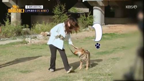 헬스트레이너 강형욱.jpg