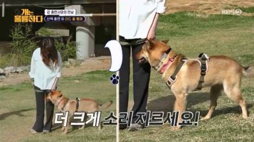 헬스트레이너 강형욱.jpg
